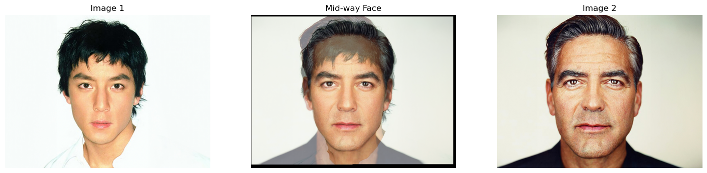 Mid-way Face Image